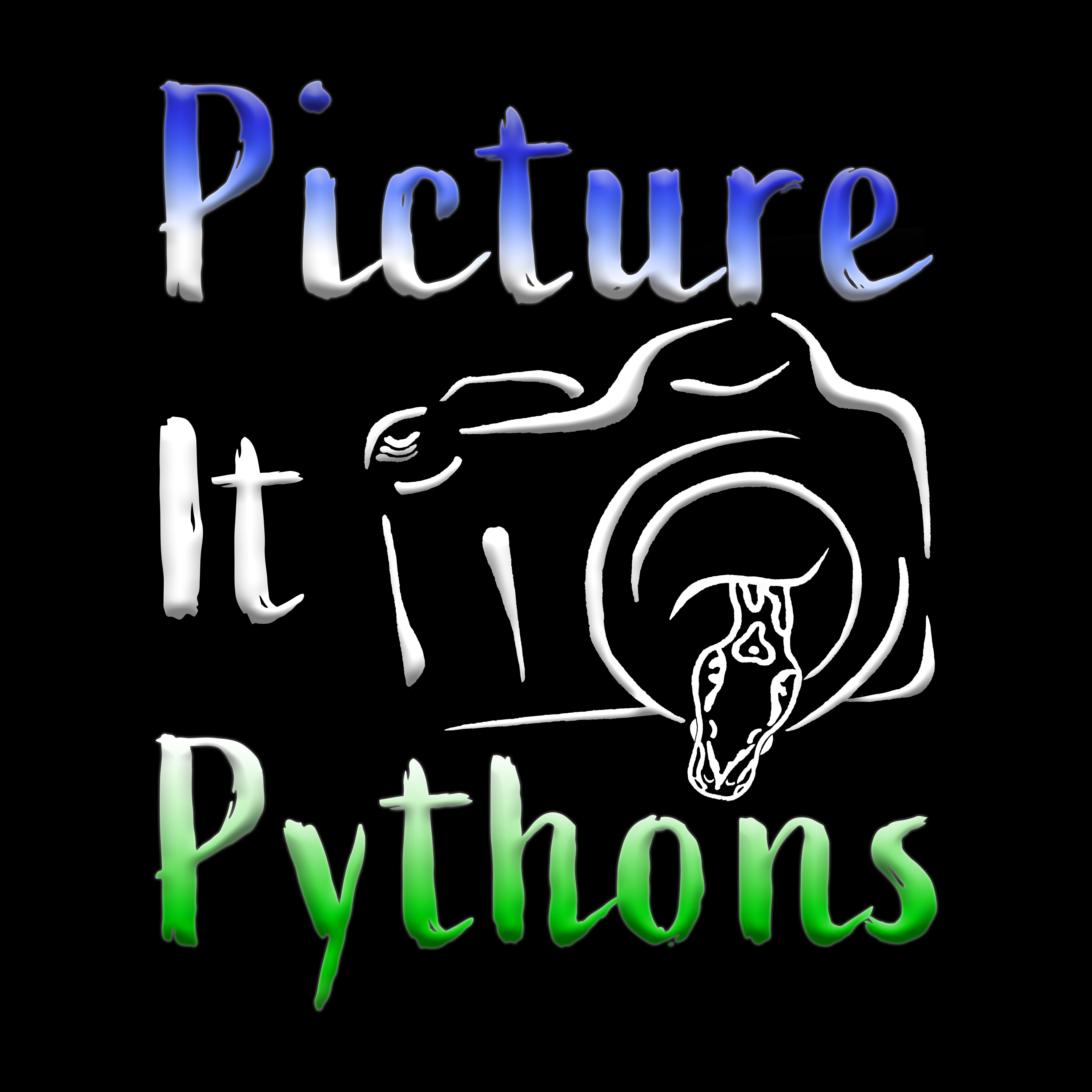 Picture It Pythons